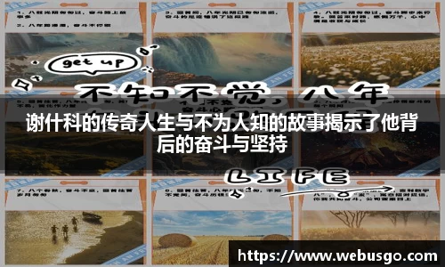 小鸟体育官网